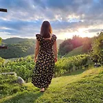 In Kranjska Krain 42903 *