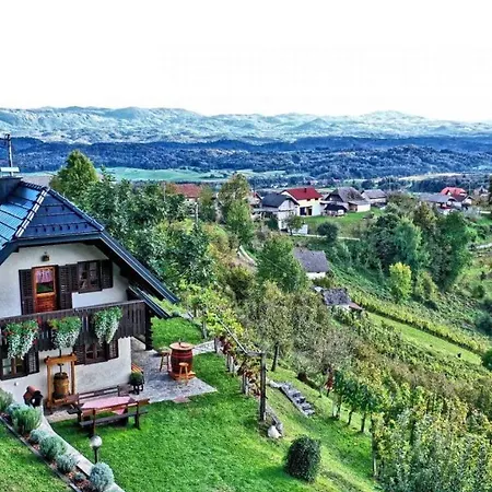 Prázdninový dům In Kranjska Krain 42903