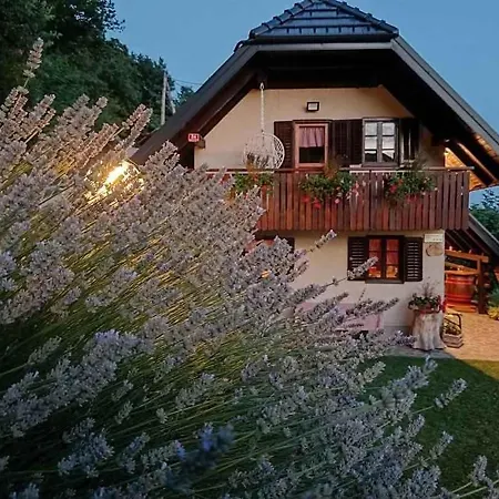 In Kranjska Krain 42903