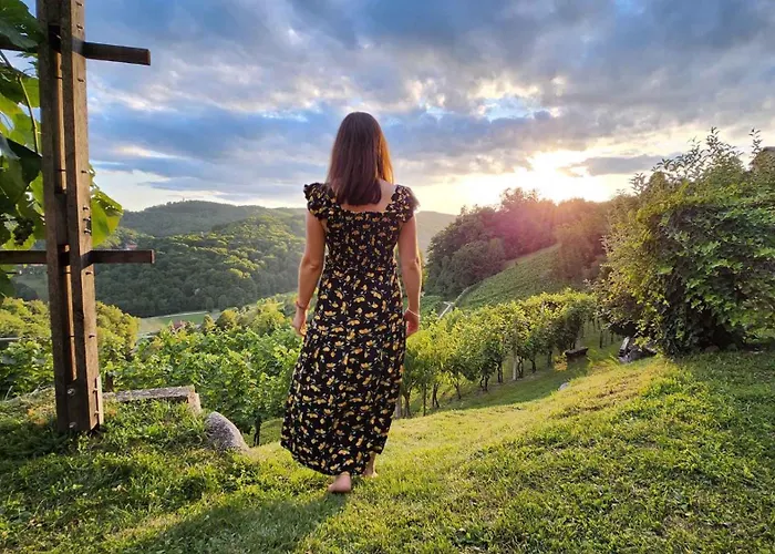 In Kranjska Krain 42903 *